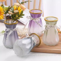 Wide-mouthe Glass Vase simple style Clear Glass vase